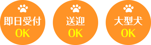 明朗会計・法要・火葬