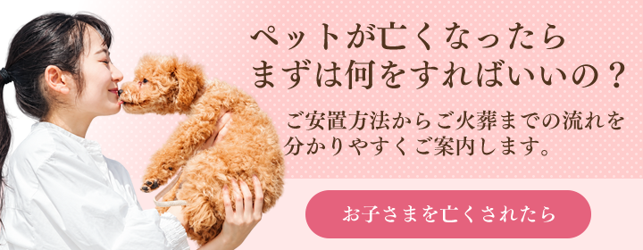 ペットが亡くなったら