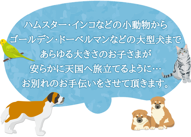 大阪のペット火葬 ペット葬儀なら吹田動物霊園 摂津市他大阪府内 東淀川区他大阪市内の火葬や納骨承ります 大阪のペット火葬 ペット葬儀なら吹田動物霊園 摂津市他大阪府内 東淀川区他大阪市内の火葬や納骨承ります